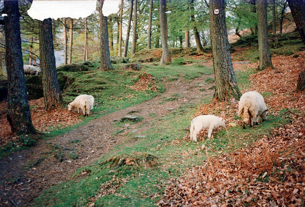 1996 - Grande-Bretagne 12 (Pays de Galles - Llanberis - Mai 1996).jpg